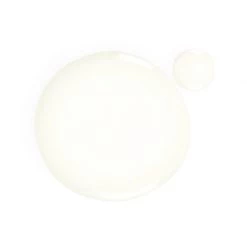 Kiehl's Midnight Recovery Concentrate Siero -Negozio online Frank Provost || Kiehl's Italia Kiehl s Sieri Midnight Recovery Concentrate 2